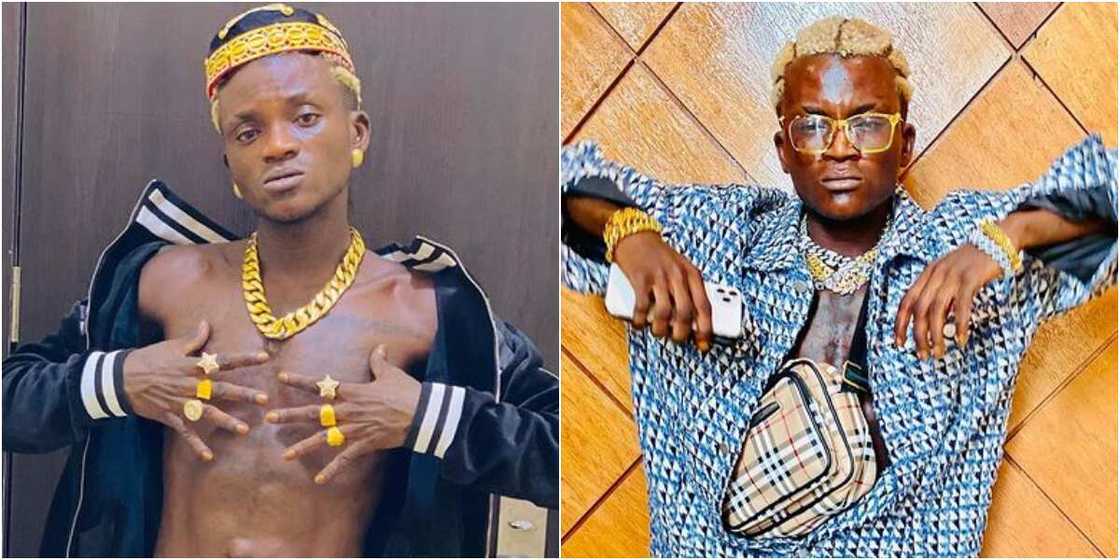 Singer Portable Singer Portable