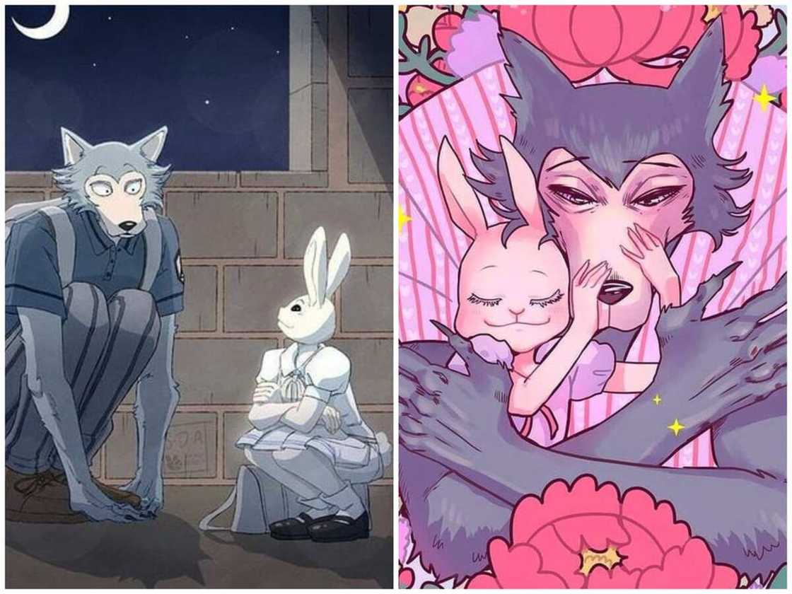 Haru et Legoshi de Beastars Haru et Legoshi de Beastars