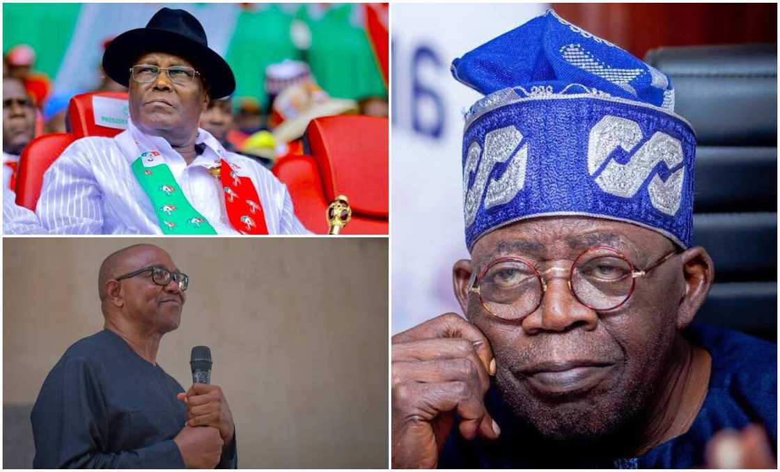 Peter Obi, PDP, Labour Party, APC, Atiku Abubakar, Bola Tinubu Peter Obi, PDP, Labour Party, APC, Atiku Abubakar, Bola Tinubu