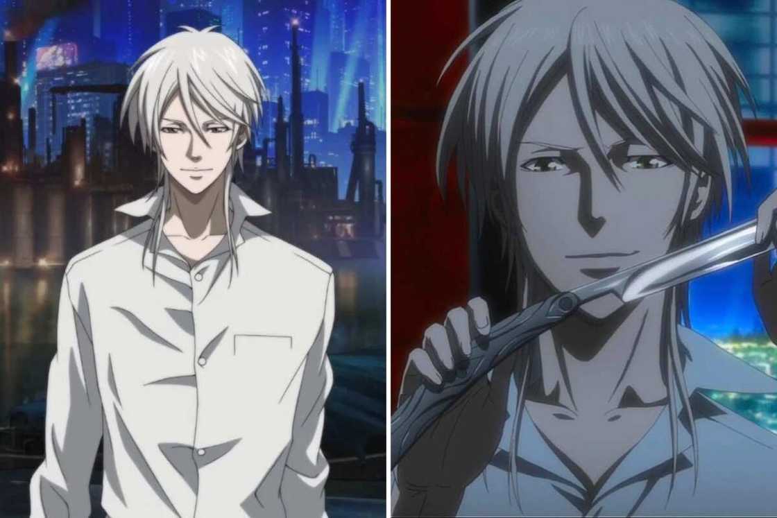 Male white-haired anime characters Male white-haired anime characters