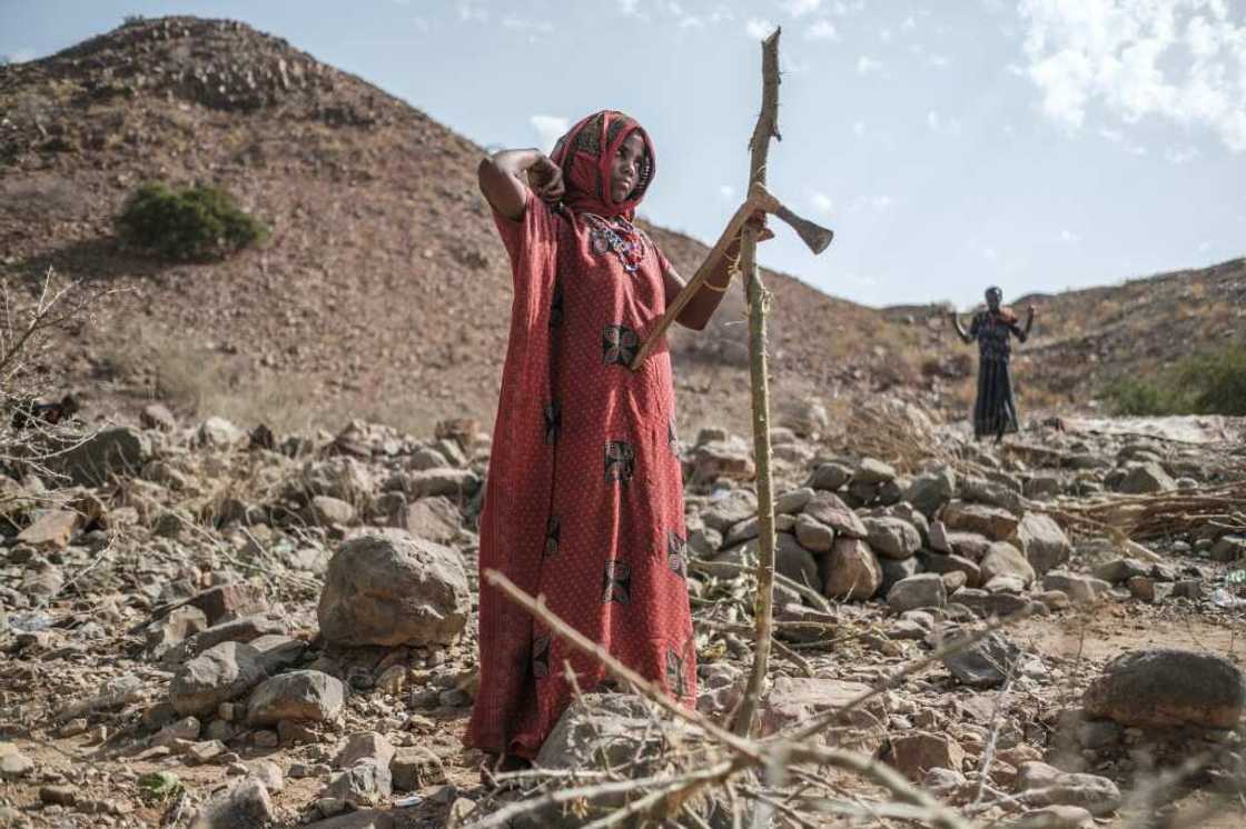 Displaced people in the makeshift camp in Erebti, in the Afar region of northern Ethiopia, have been struggling to survive Displaced people in the makeshift camp in Erebti, in the Afar region of northern Ethiopia, have been struggling to survive