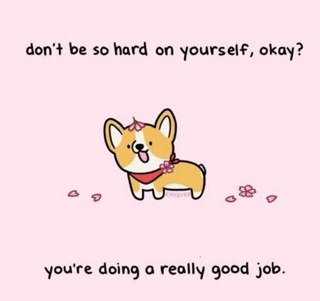 Happy Wednesday meme Happy Wednesday meme