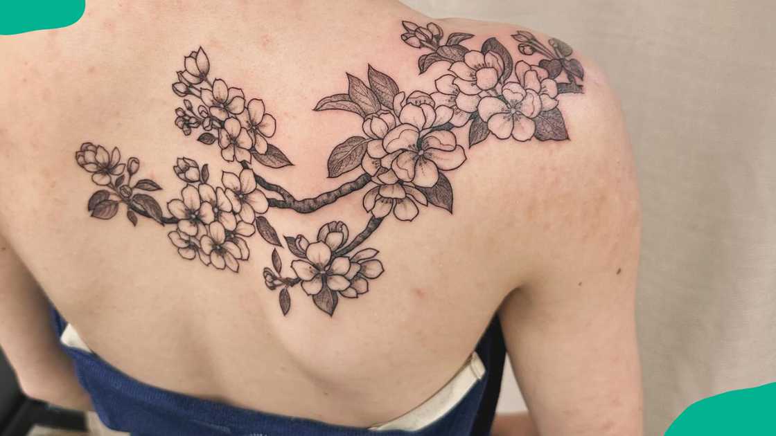 Branches cherry blossom design Branches cherry blossom design