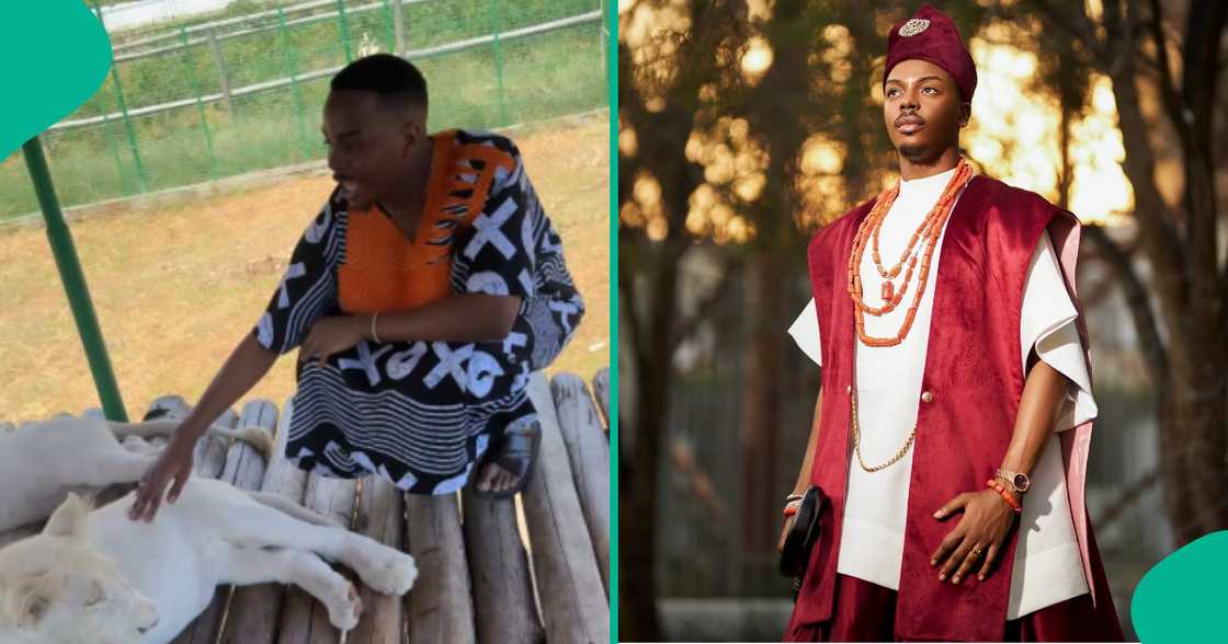 Enioluwa shares a hilarious encounter with lions in Tanzania. Enioluwa shares a hilarious encounter with lions in Tanzania.