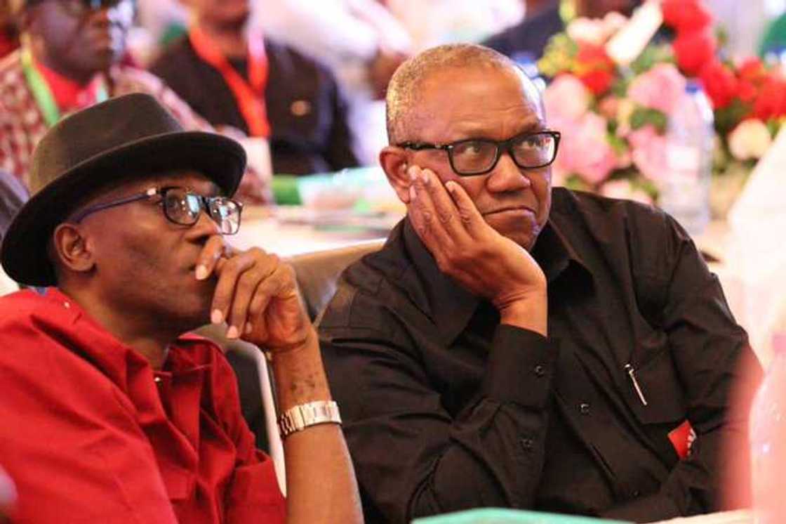 Peter Obi Grassroots Mobilization Peter Obi Grassroots Mobilization