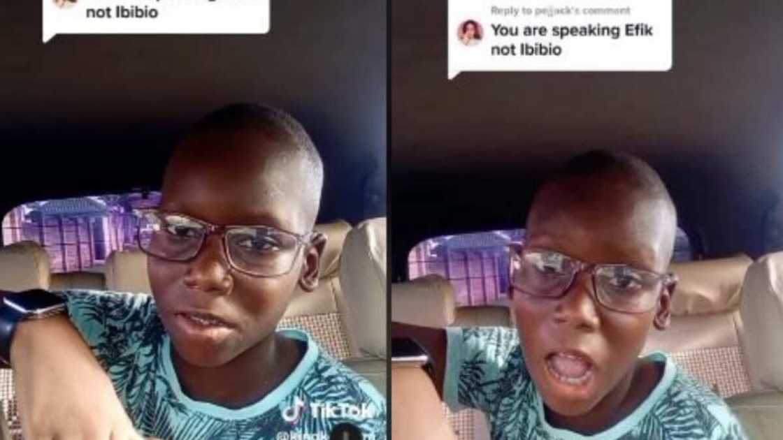 Smart boy speaks with American accent Smart boy speaks with American accent