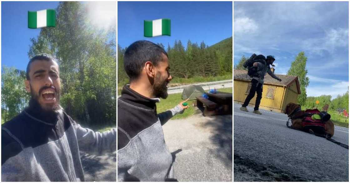 Norwegian wants to come to Nigeria, mosquitoes, Abbosiiofficial Norwegian wants to come to Nigeria, mosquitoes, Abbosiiofficial