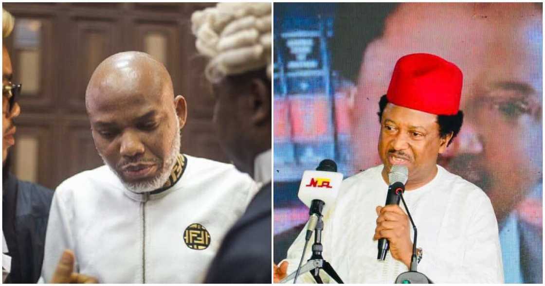 Shehu Sani/Nnamdi Kanu/IPOB/Sit-at-Home