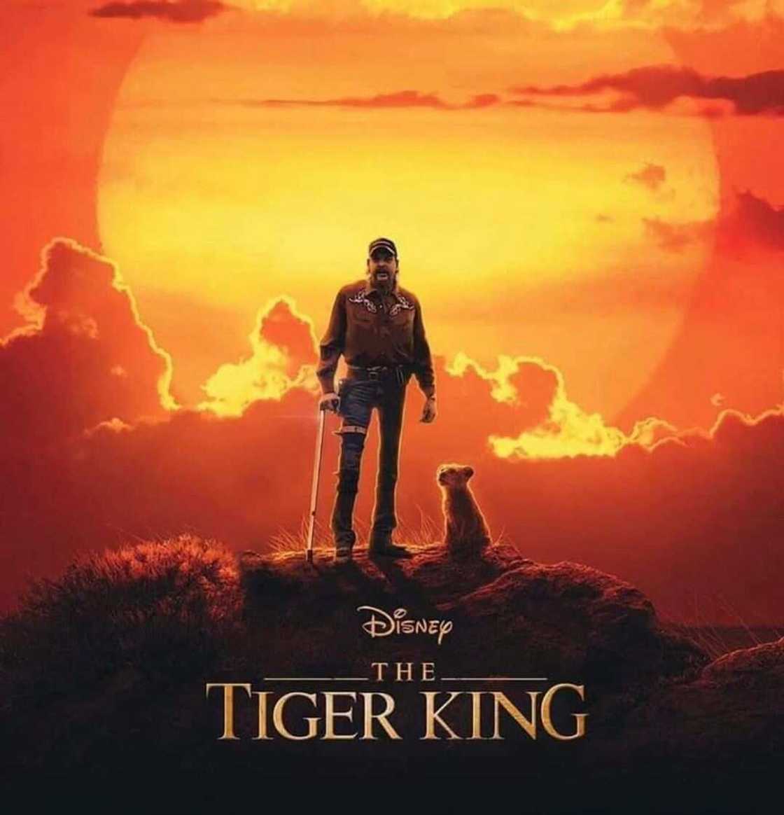 Tiger King Tiger King