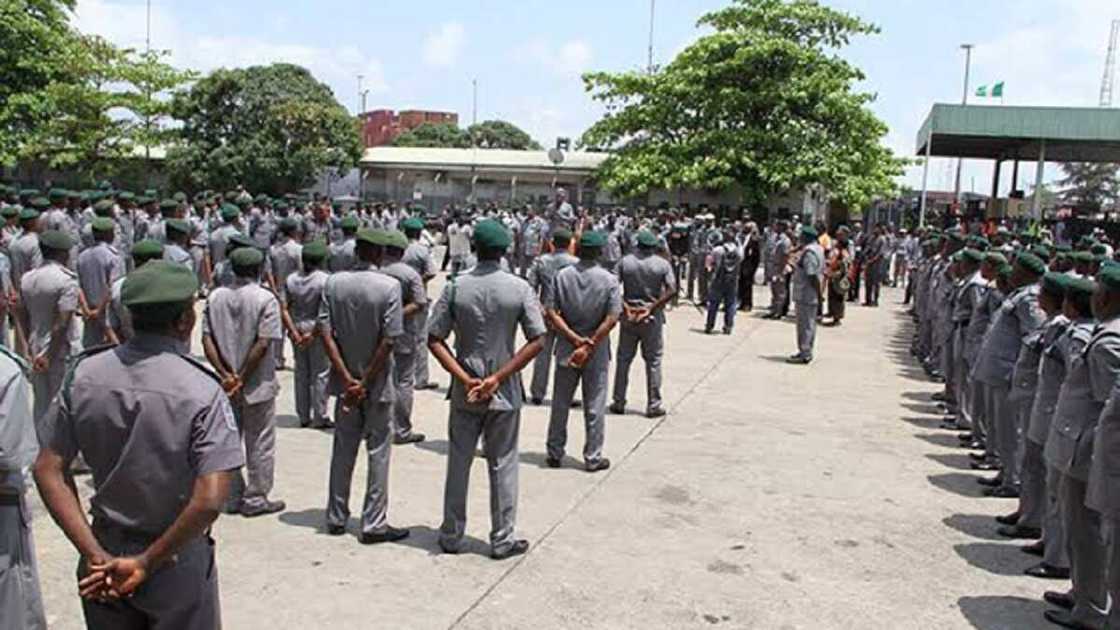 We offered bandits bags of rice for safety, Customs official confesses We offered bandits bags of rice for safety, Customs official confesses