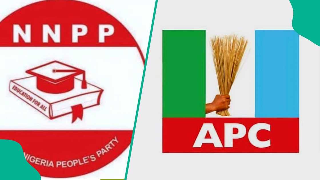 NNPP dominates kano political structure, NNPP's victory exposes APC political lapses, Stakeholder discusses APC weaknesses, APC stalwarts discuss plans to regain relevance, APC wins kano constituency supplementary election