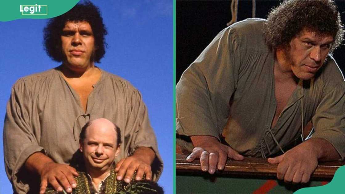 80s wrestlers 80s wrestlers