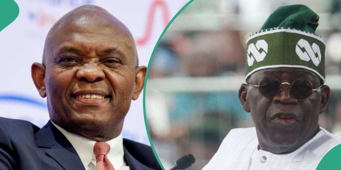 Tony Elumelu, Tinubu, Subsidy savings Tony Elumelu, Tinubu, Subsidy savings
