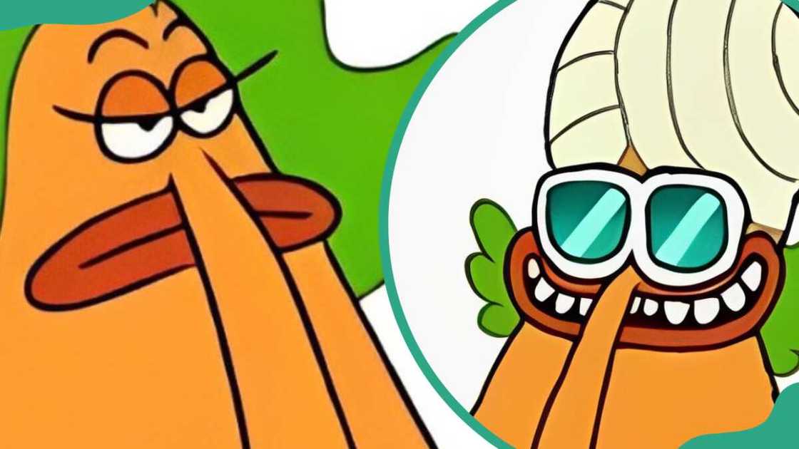 Miss Endive from Chowder Miss Endive from Chowder