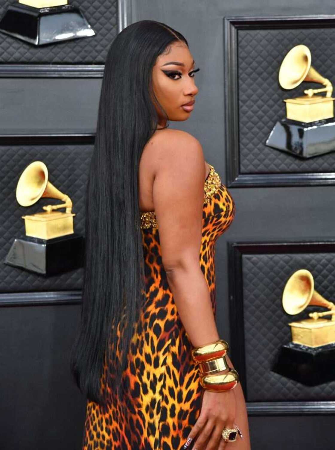 Megan Thee Stallion’s bio: Age, height, net worth, boyfriend - Legit.ng