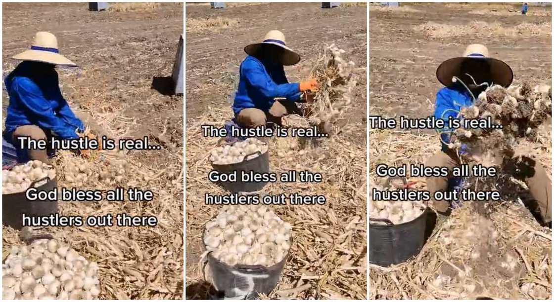 Photos of Nigerian man working at farm abroad.