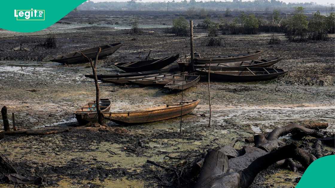 The Minister of State Petroleum Resources (Gas), Rt. Hon. Ekperikpe Ekpo, has confirmed receiving reports of a gas bubbling in the ground and surrounding water bodies in the Bille Community of Rivers State, as he assures the public of safety. The Minister of State Petroleum Resources (Gas), Rt. Hon. Ekperikpe Ekpo, has confirmed receiving reports of a gas bubbling in the ground and surrounding water bodies in the Bille Community of Rivers State, as he assures the public of safety.