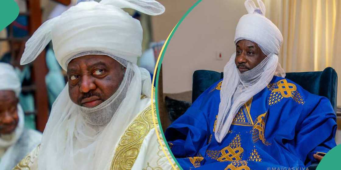 Bayero's lawyers opt out of case, gives reason Bayero's lawyers opt out of case, gives reason
