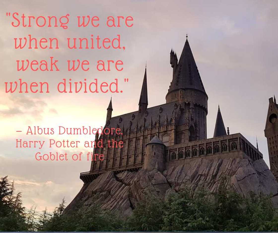 Famous Harry Potter quotes Famous Harry Potter quotes