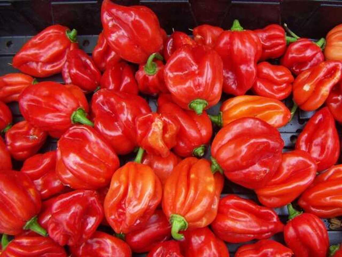 FOOD MUSINGS: Top 7 Spicy Nigerian Foods