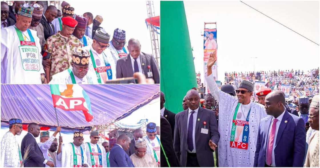 APC rally in Bauchi, President Muhammadu Buhari, the 20215 and 2019 general elections, Bola Tinubu APC rally in Bauchi, President Muhammadu Buhari, the 20215 and 2019 general elections, Bola Tinubu