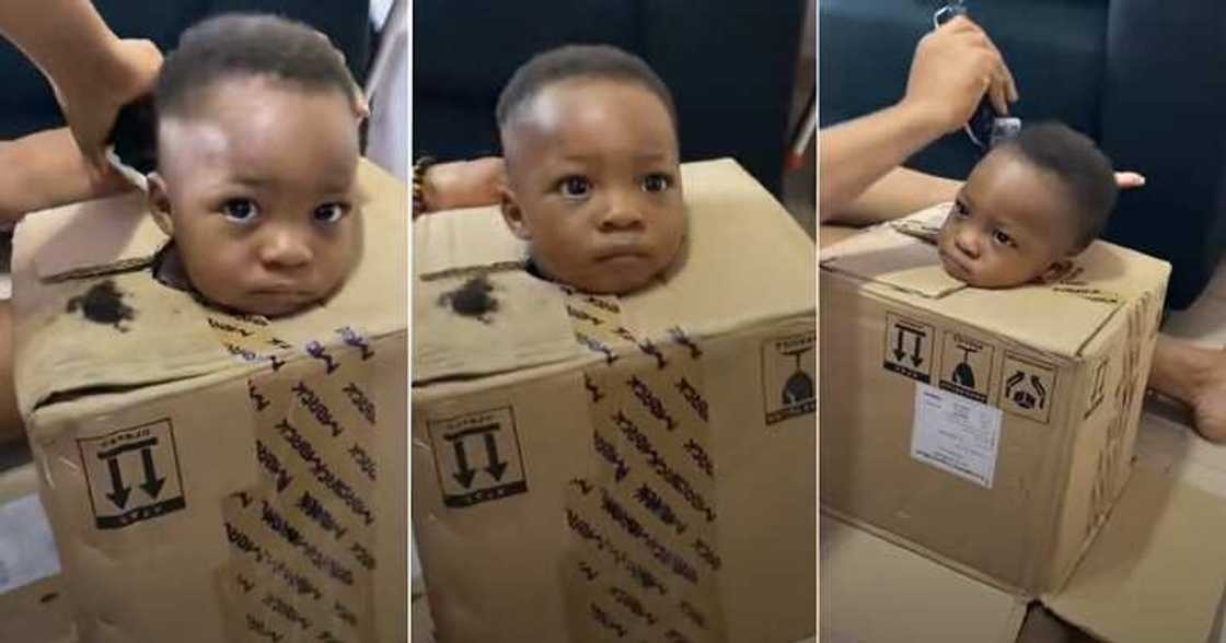 Mum puts little son inside a box before cutting his hair Mum puts little son inside a box before cutting his hair