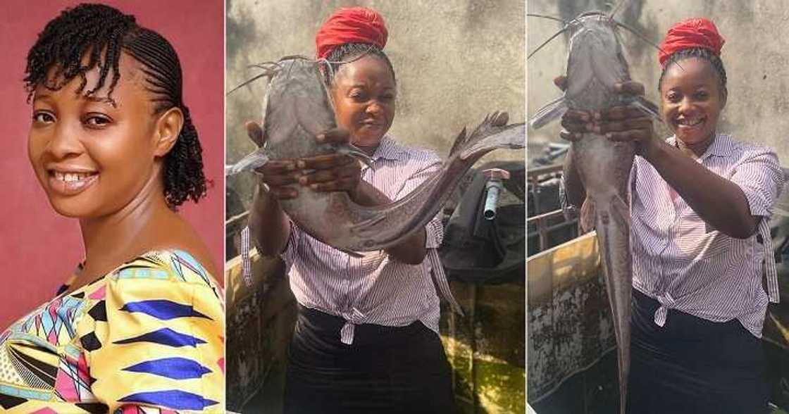 Graduate turned fish farmer Graduate turned fish farmer