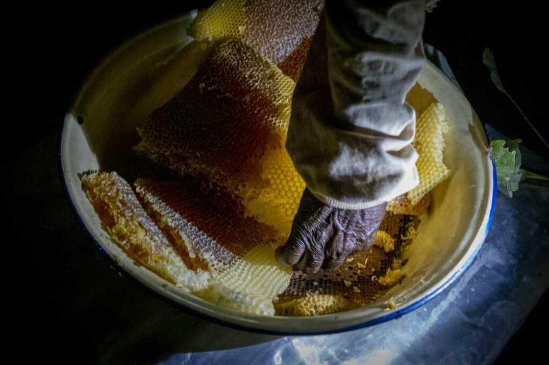 The former French colony was plunged into civil war in 2013 The former French colony was plunged into civil war in 2013