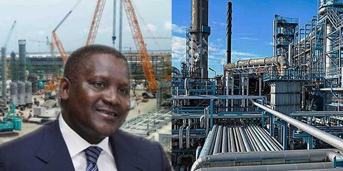 Matatar man Dangote za ta taimaki Afrika