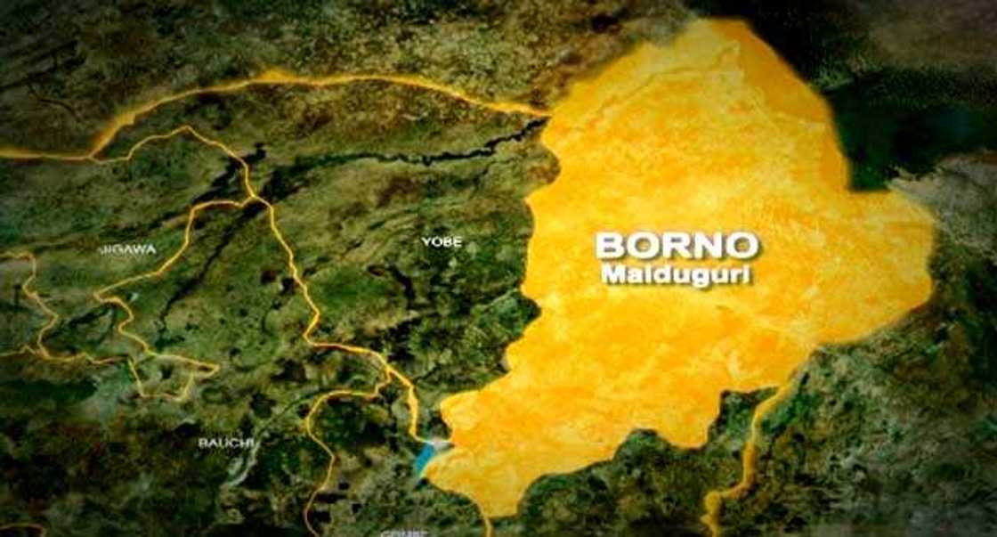 Yadda aka dakile harin 'yan ta'adda a Borno