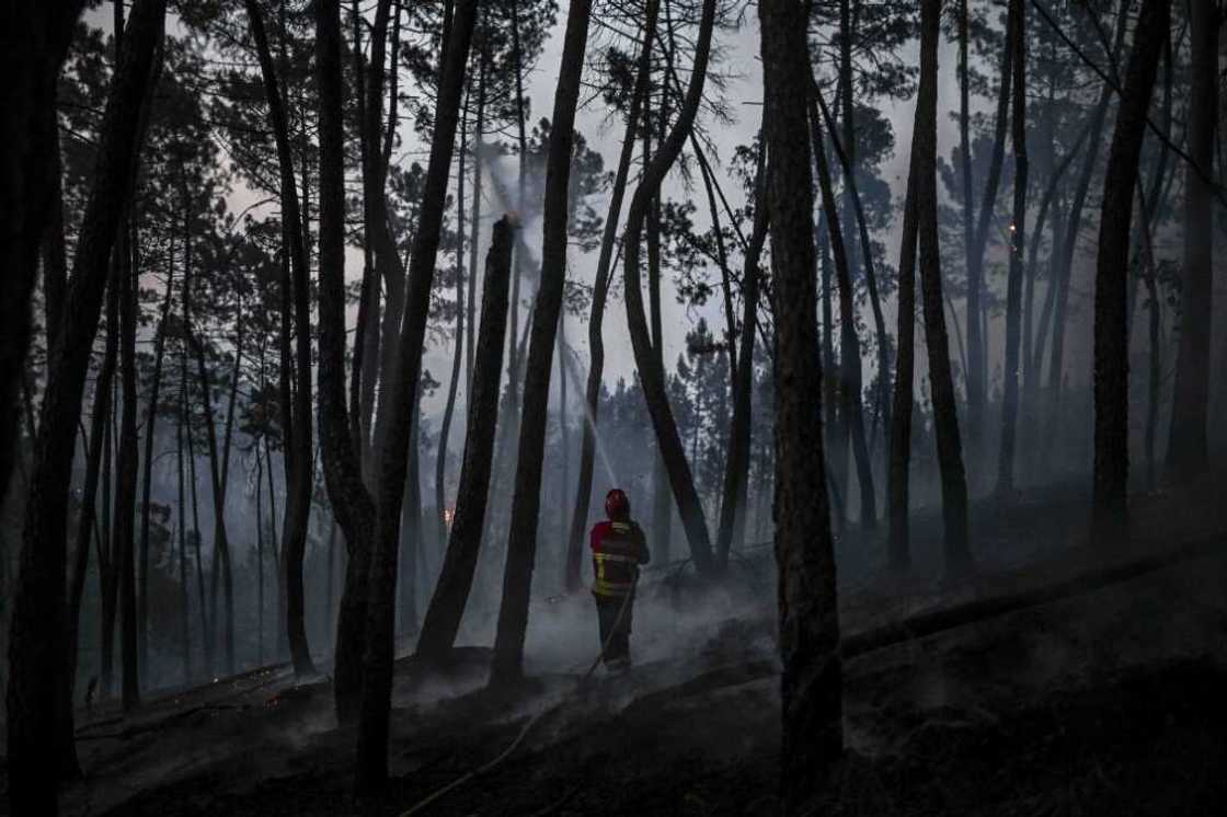 The government issued a national 'state of contingency' as the latest fires raged, which puts rescue personnel on alert