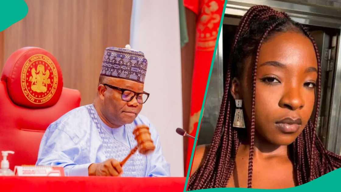 Senate takes action on Ifunanya's death, after snake bite. Senate takes action on Ifunanya's death, after snake bite.