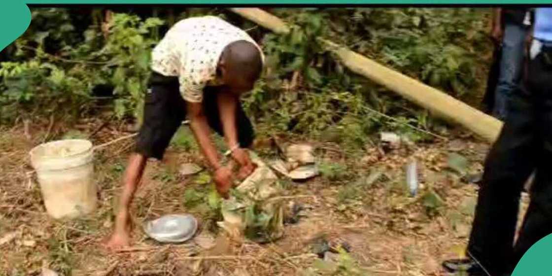 Police arrest man who killed OAU student for ritual purposes in Ogun Police arrest man who killed OAU student for ritual purposes in Ogun
