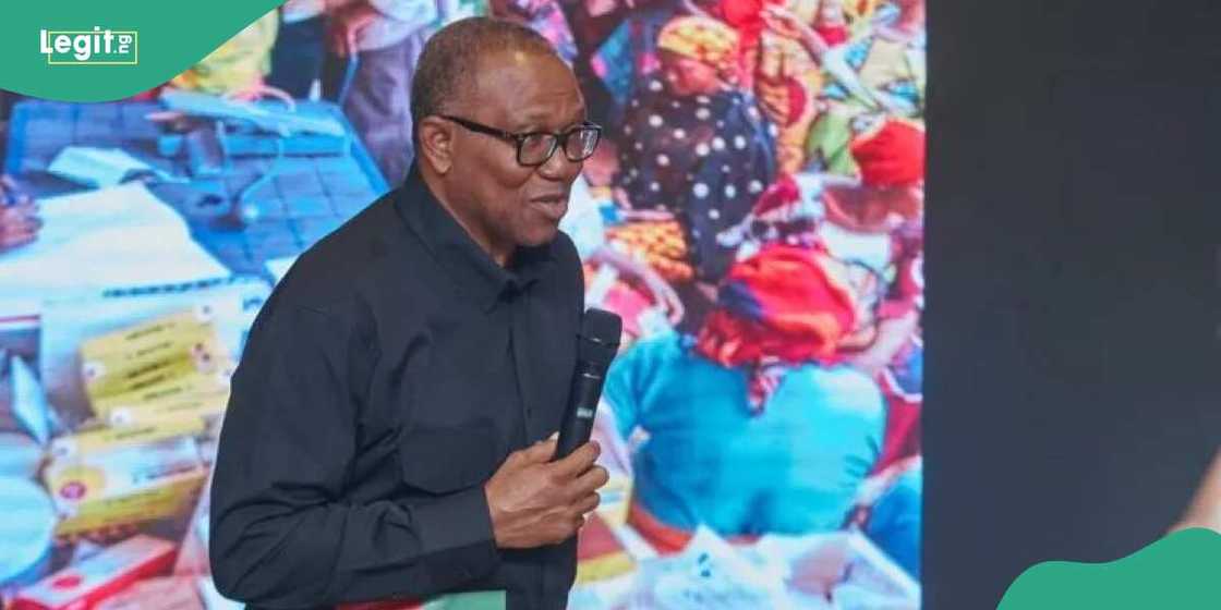 Peter Obi/Peter Obi news/Peter Obi news today/Peter Obi news now Peter Obi/Peter Obi news/Peter Obi news today/Peter Obi news now