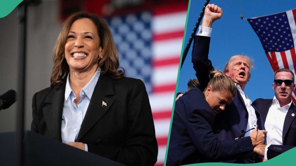 Seven states that will determine United States presidential election winner between Donald Trump and Kamala Harris Seven states that will determine United States presidential election winner between Donald Trump and Kamala Harris