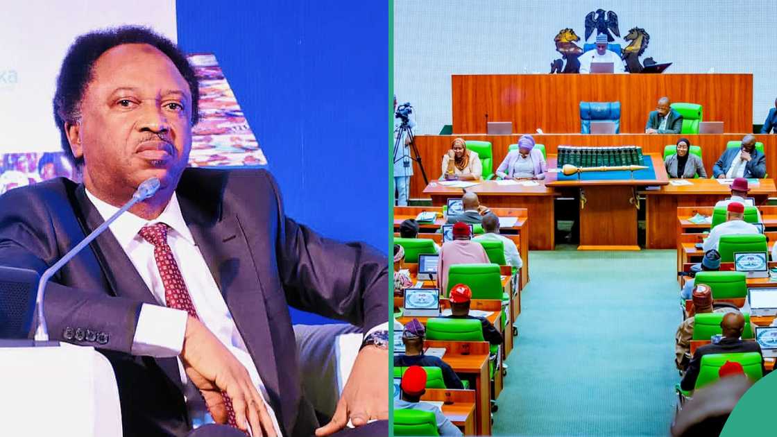 Single 6-year term: Shehu Sani reacts to rejected bill Single 6-year term: Shehu Sani reacts to rejected bill