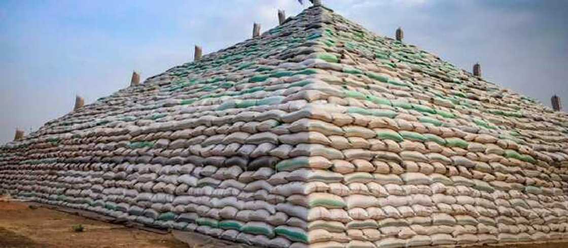 Naira to dollar farmers reaction Naira to dollar farmers reaction