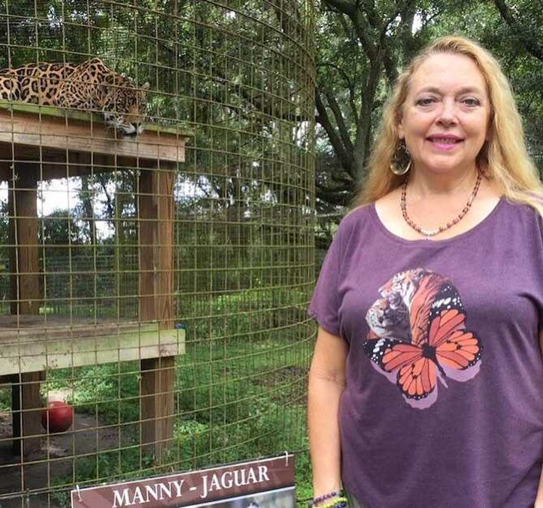 Big Cat Rescue Big Cat Rescue