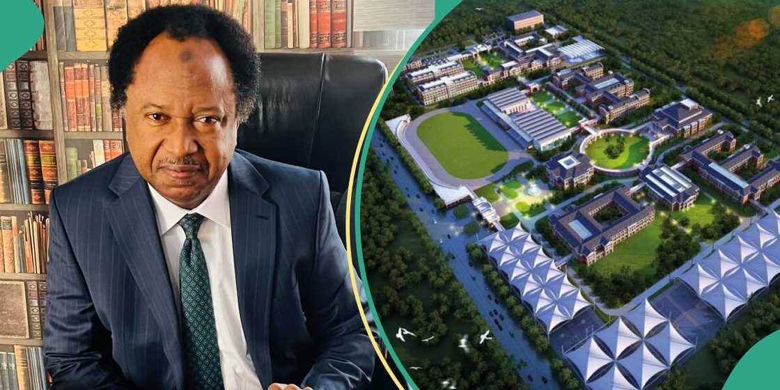 Shehu Sani reacts as Lagos primary school charges N42m Shehu Sani reacts as Lagos primary school charges N42m