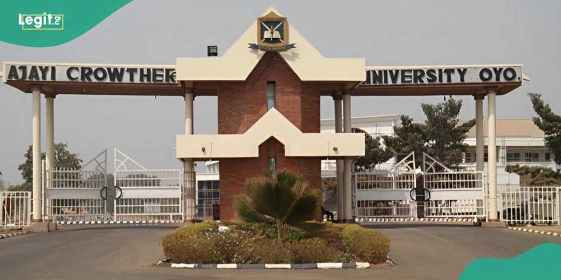 Court frees 12 university students facing murder charge Court frees 12 university students facing murder charge