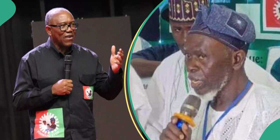 Labour Party faction accuses Peter Obi of hiding his B.Sc degree Labour Party faction accuses Peter Obi of hiding his B.Sc degree