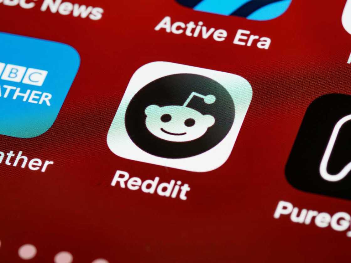 Reddit search history Reddit search history