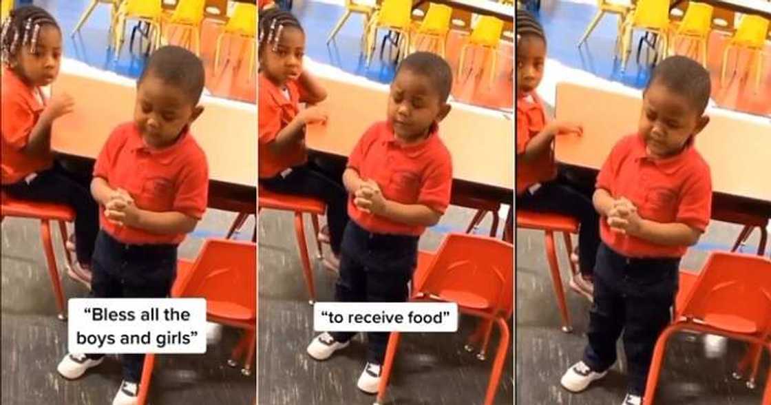 Little boy prays for his food, cute child