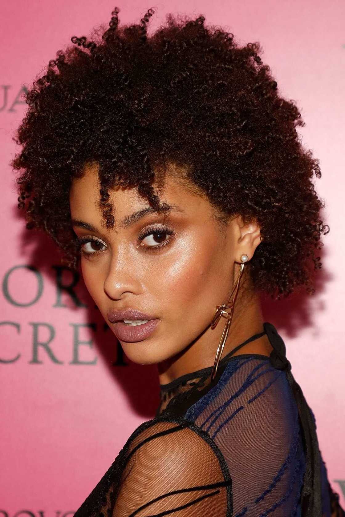 Afro hair styles for ladies Afro hair styles for ladies