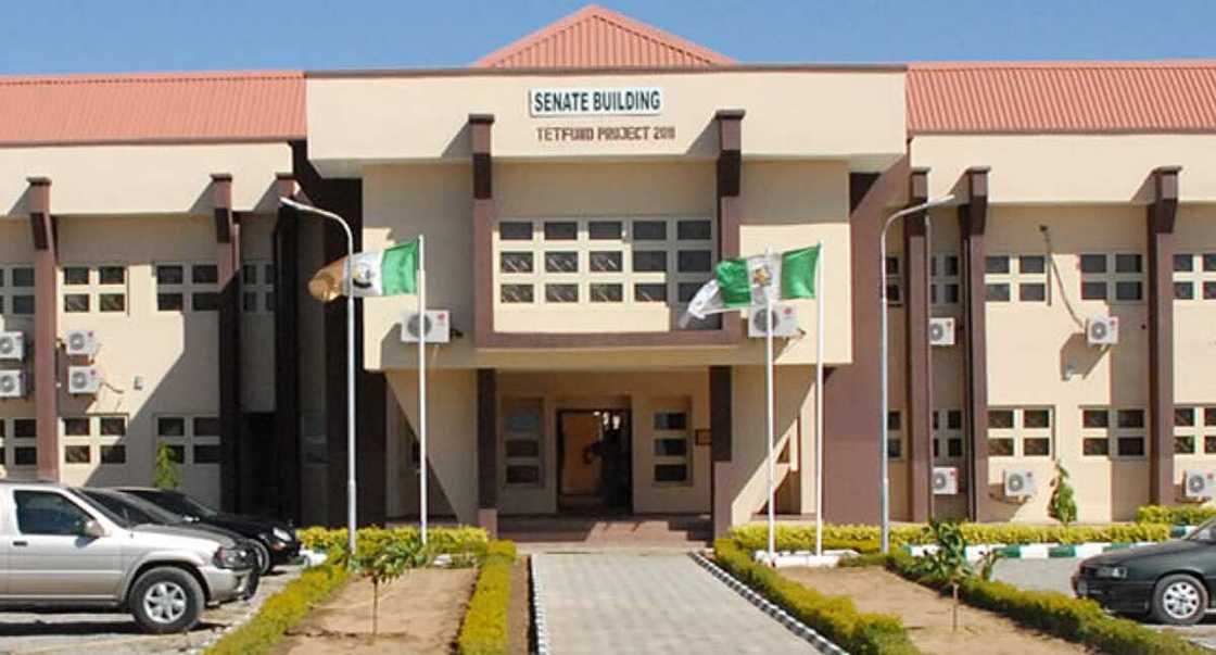 An shigar da korafi kan shugaban jami'ar Katsina yayin da rikicin shugabanci ya sake mamaye makarantar An shigar da korafi kan shugaban jami'ar Katsina yayin da rikicin shugabanci ya sake mamaye makarantar