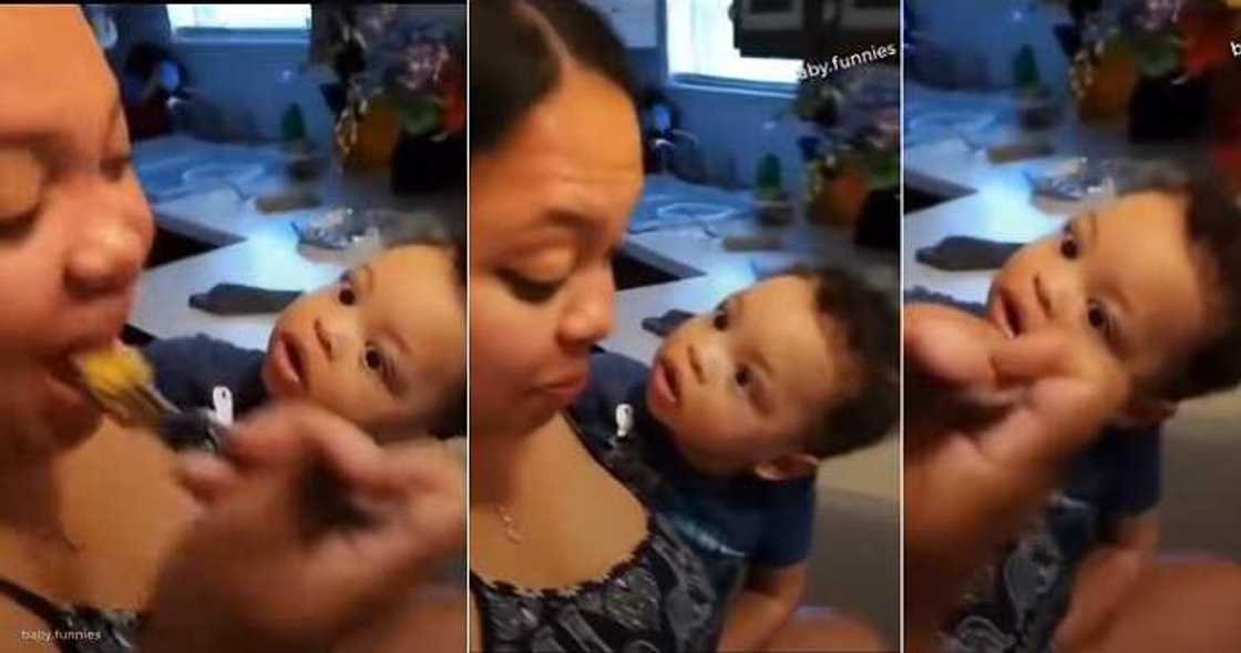 Mum eats alone, little boy stares