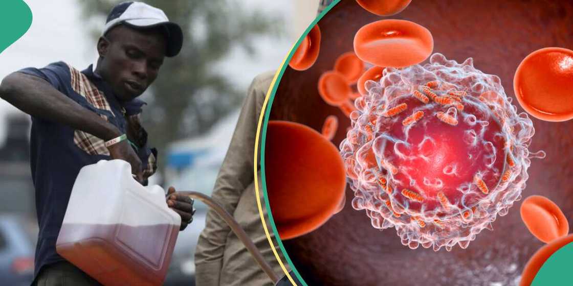 Abubuwan da ke haifar da cutar sankarar bargo Abubuwan da ke haifar da cutar sankarar bargo