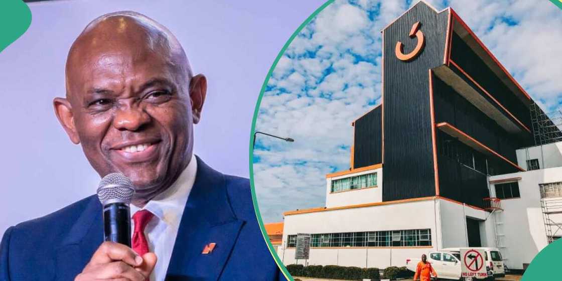 Tony Elumelu, Transcorp