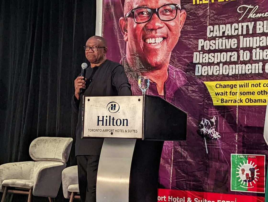 Peter Obi, 1999 constitution, USA, review, 2023 presidential election, polls Peter Obi, 1999 constitution, USA, review, 2023 presidential election, polls