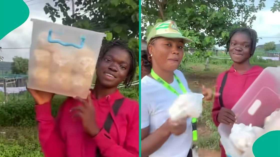 Popcorn seller at NYSC camp trends online after revealing her JAMB score